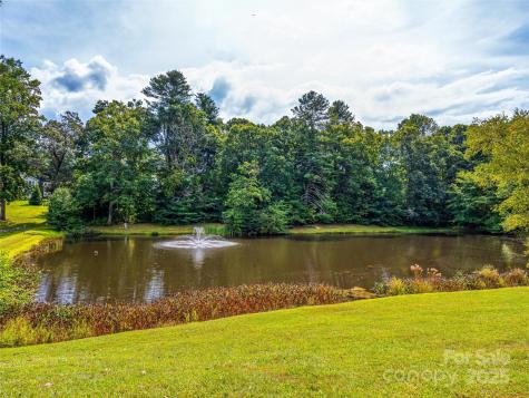 83 Farm Lane Mills River NC 28759