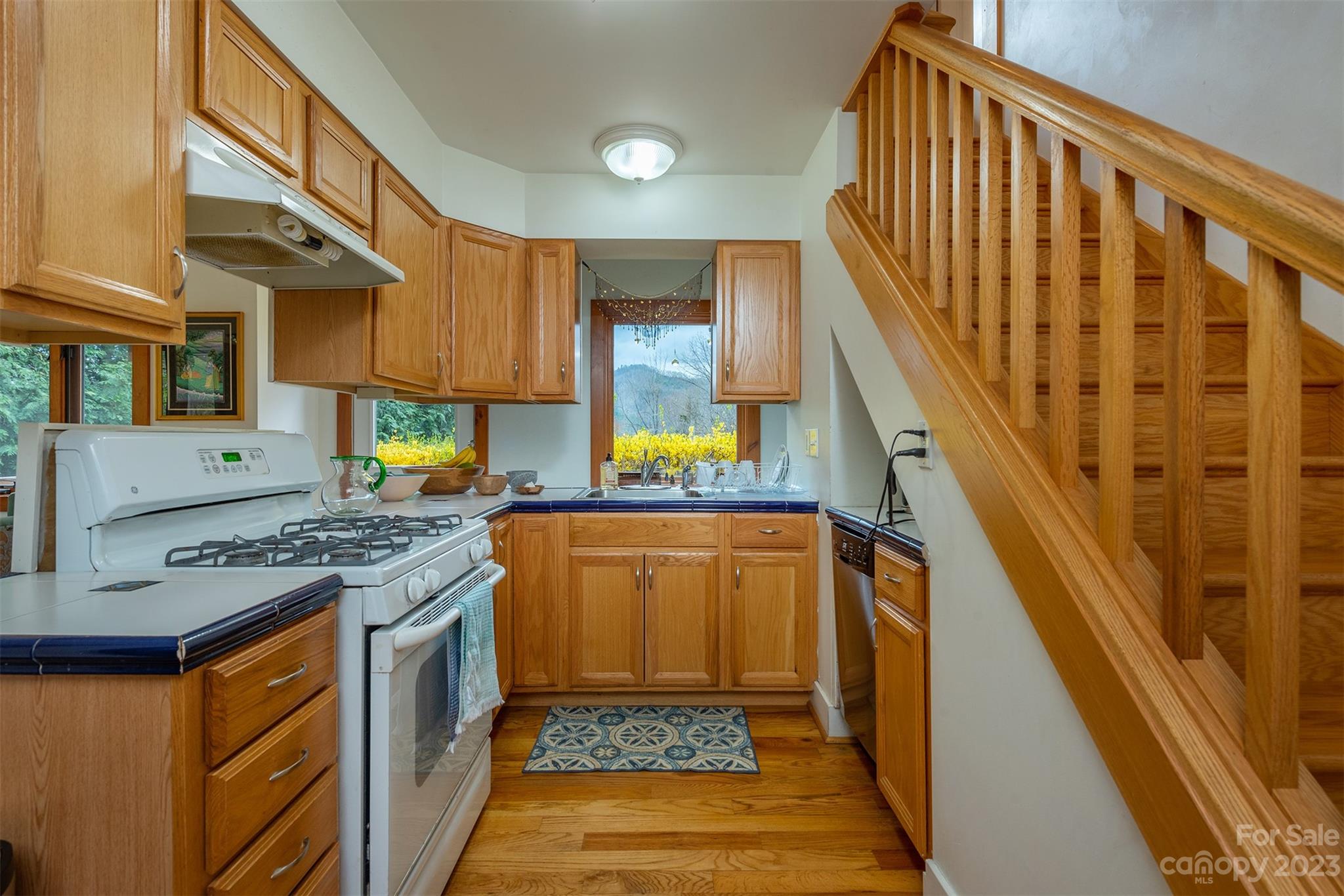 3 & 5 Summit Drive Black Mountain NC 28711