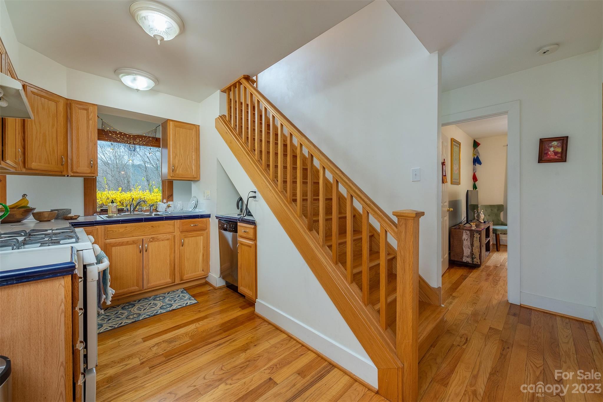 3 & 5 Summit Drive Black Mountain NC 28711
