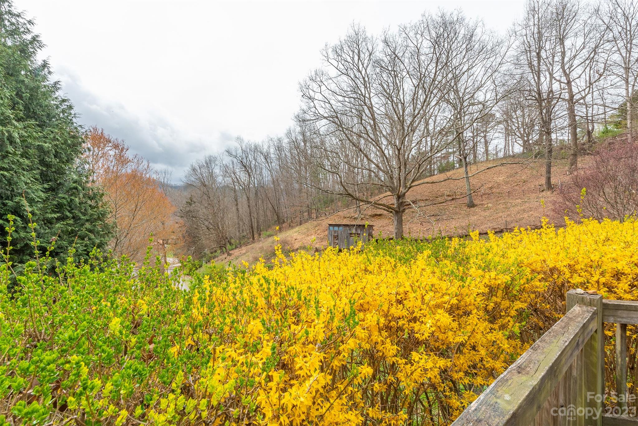 3 & 5 Summit Drive Black Mountain NC 28711