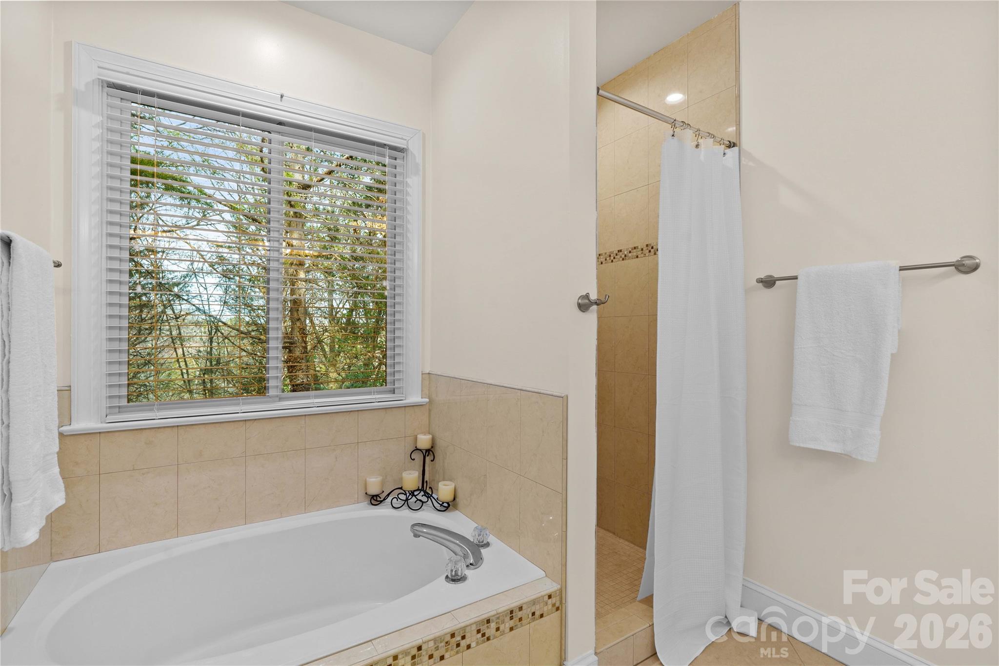 131 Morrison Hill Road Davidson NC 28036
