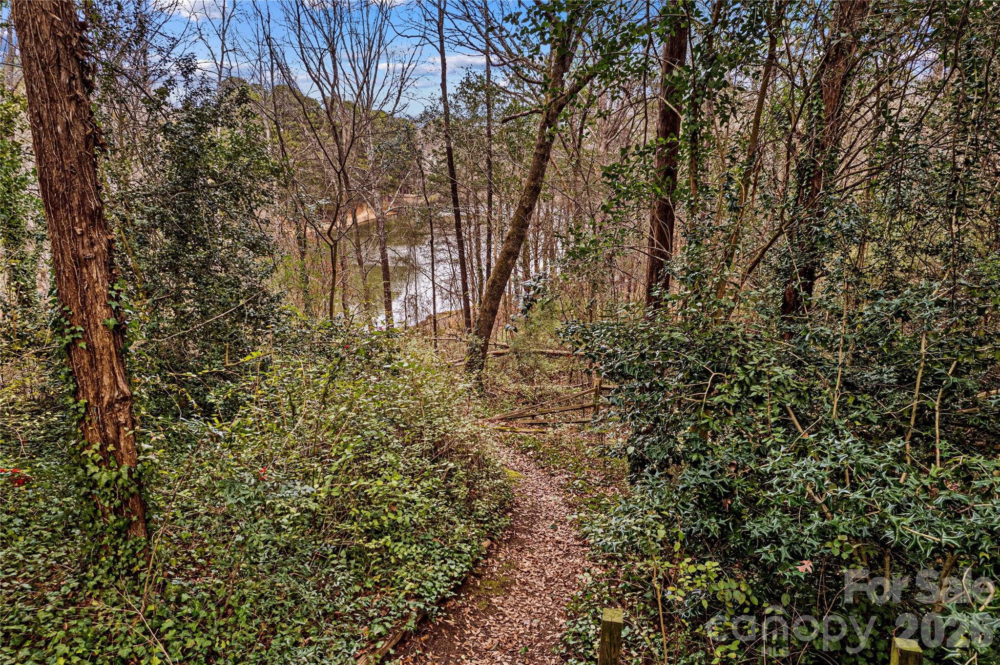 131 Morrison Hill Road Davidson NC 28036