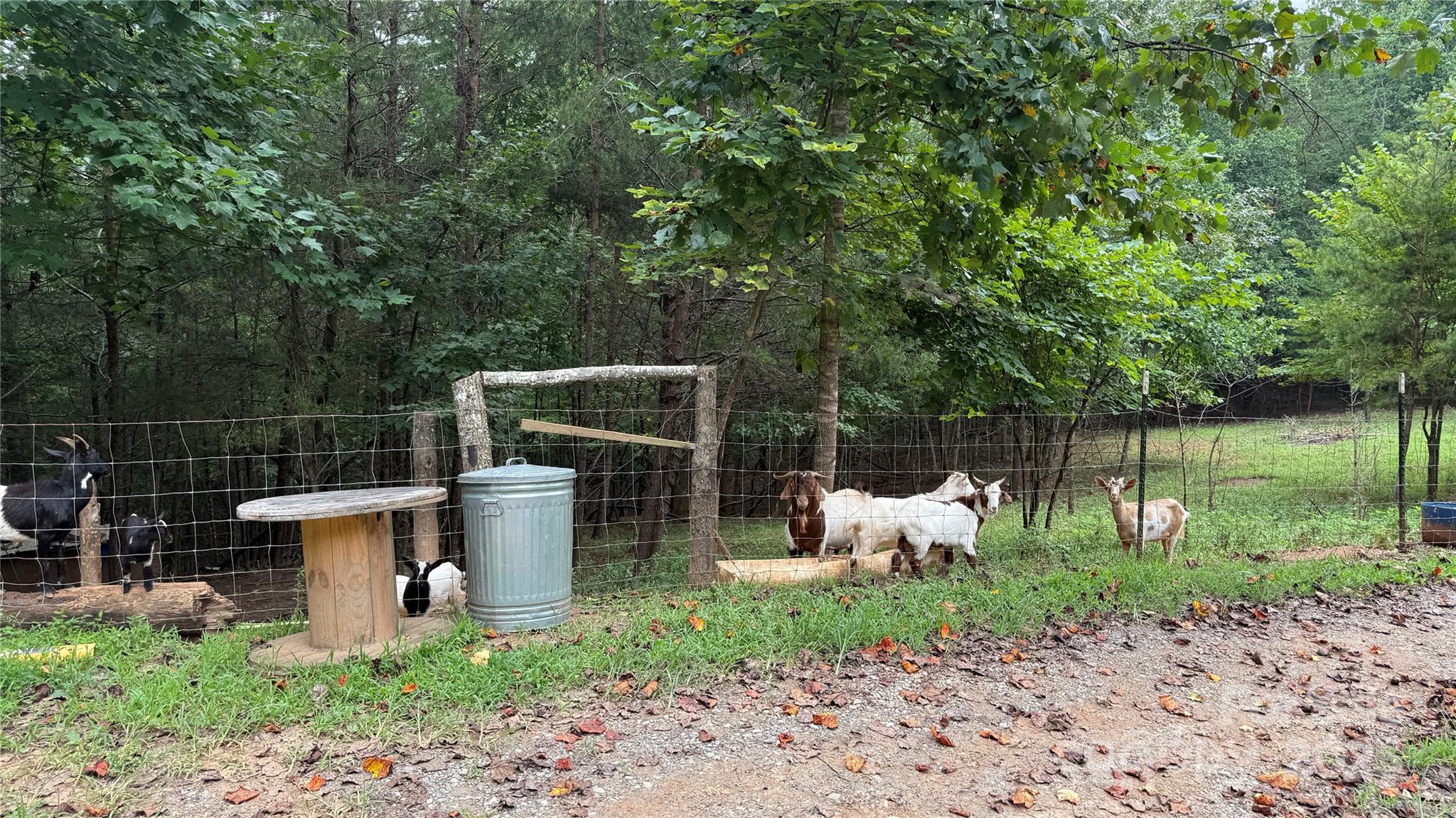 424 Winnies Road Bostic NC 28018