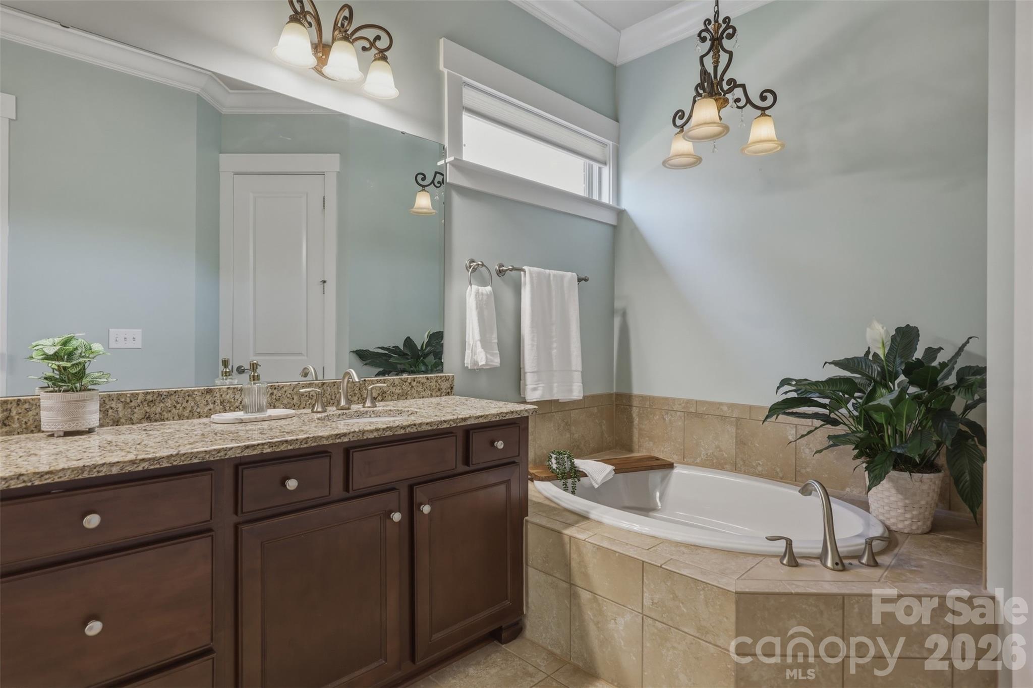 162 Reserve Lane Indian Land SC 29707