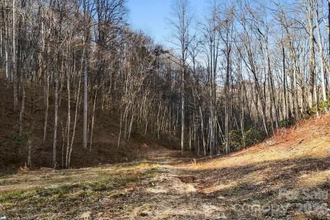 14 Selway Drive Candler NC 28715