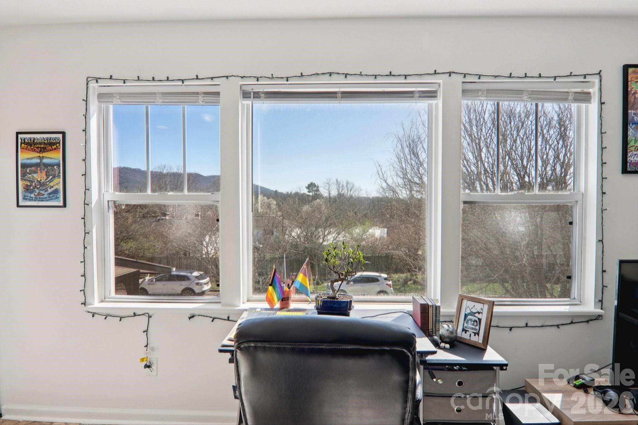 3 Rosemont Court Asheville NC 28803