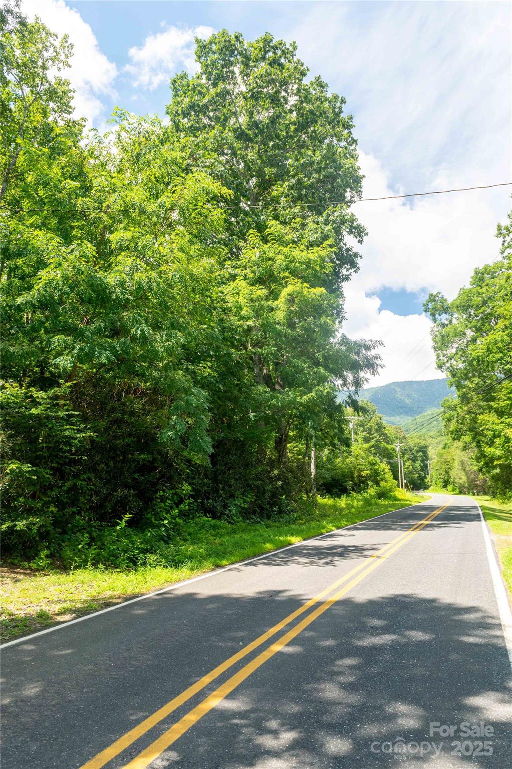 245 White Oak Creek Road Burnsville NC 28714
