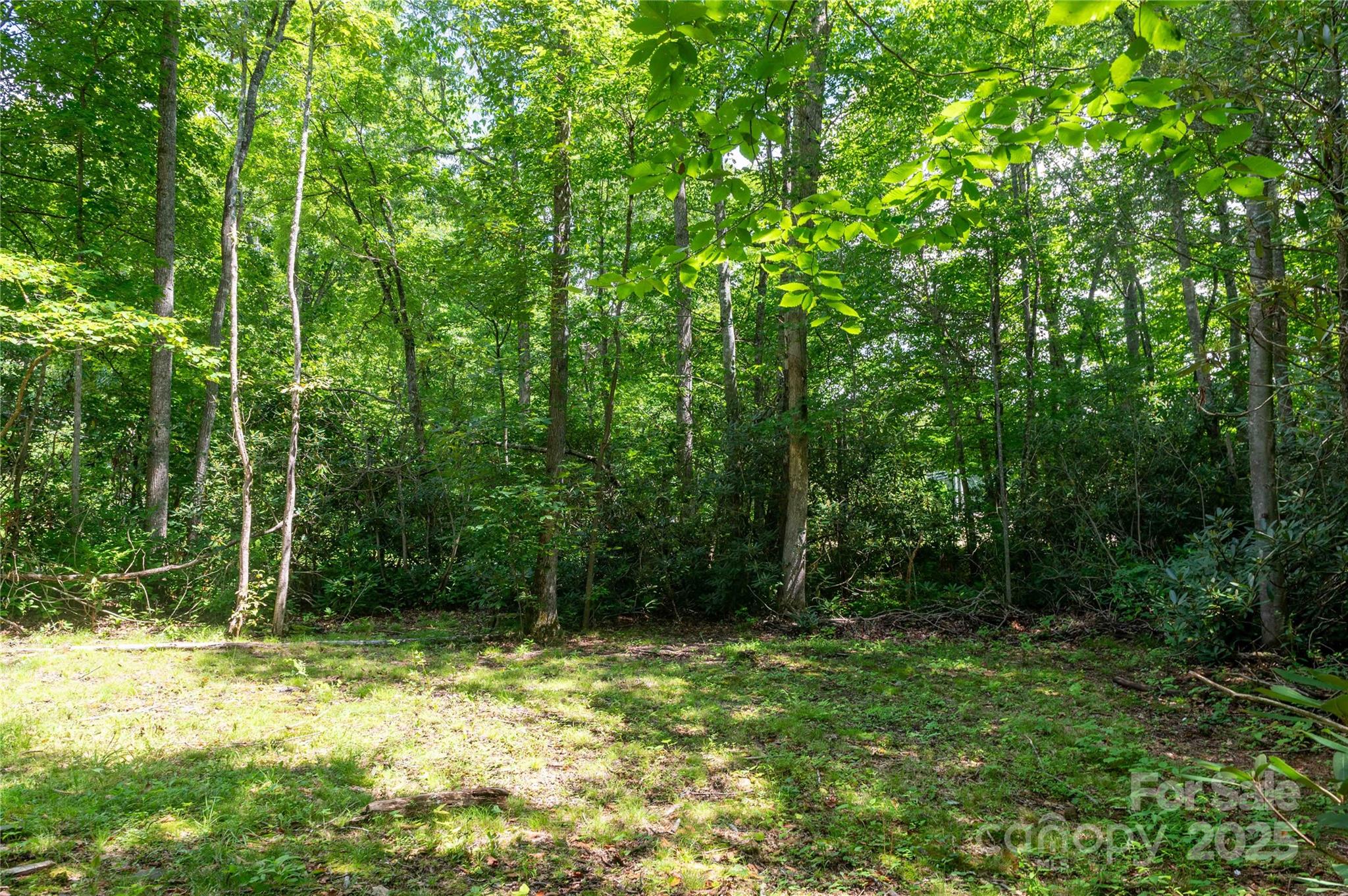 245 White Oak Creek Road Burnsville NC 28714