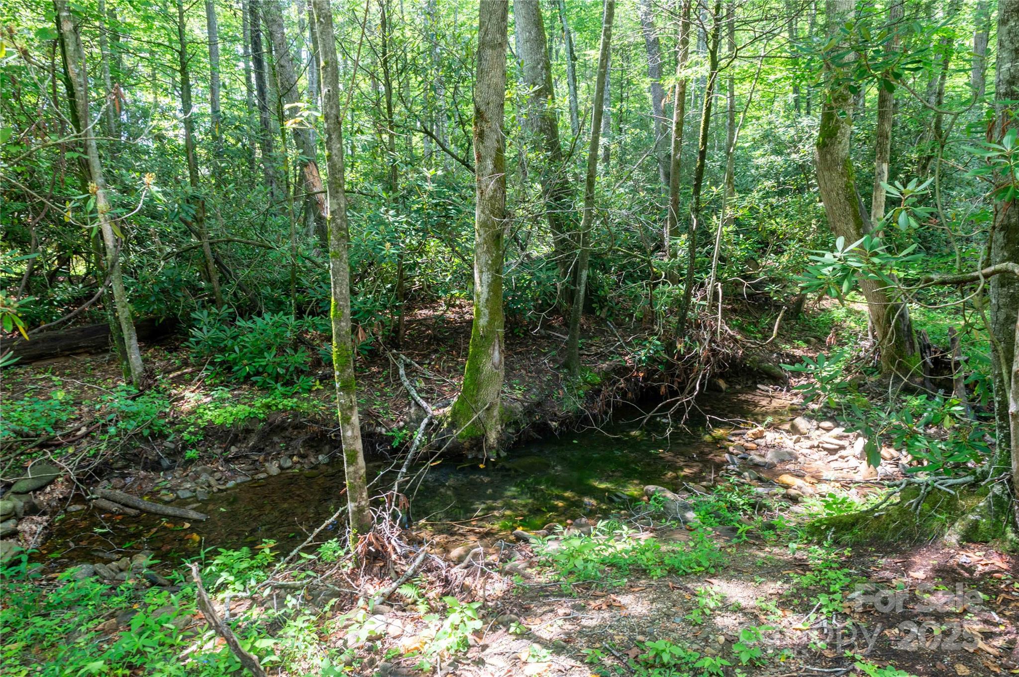 245 White Oak Creek Road Burnsville NC 28714