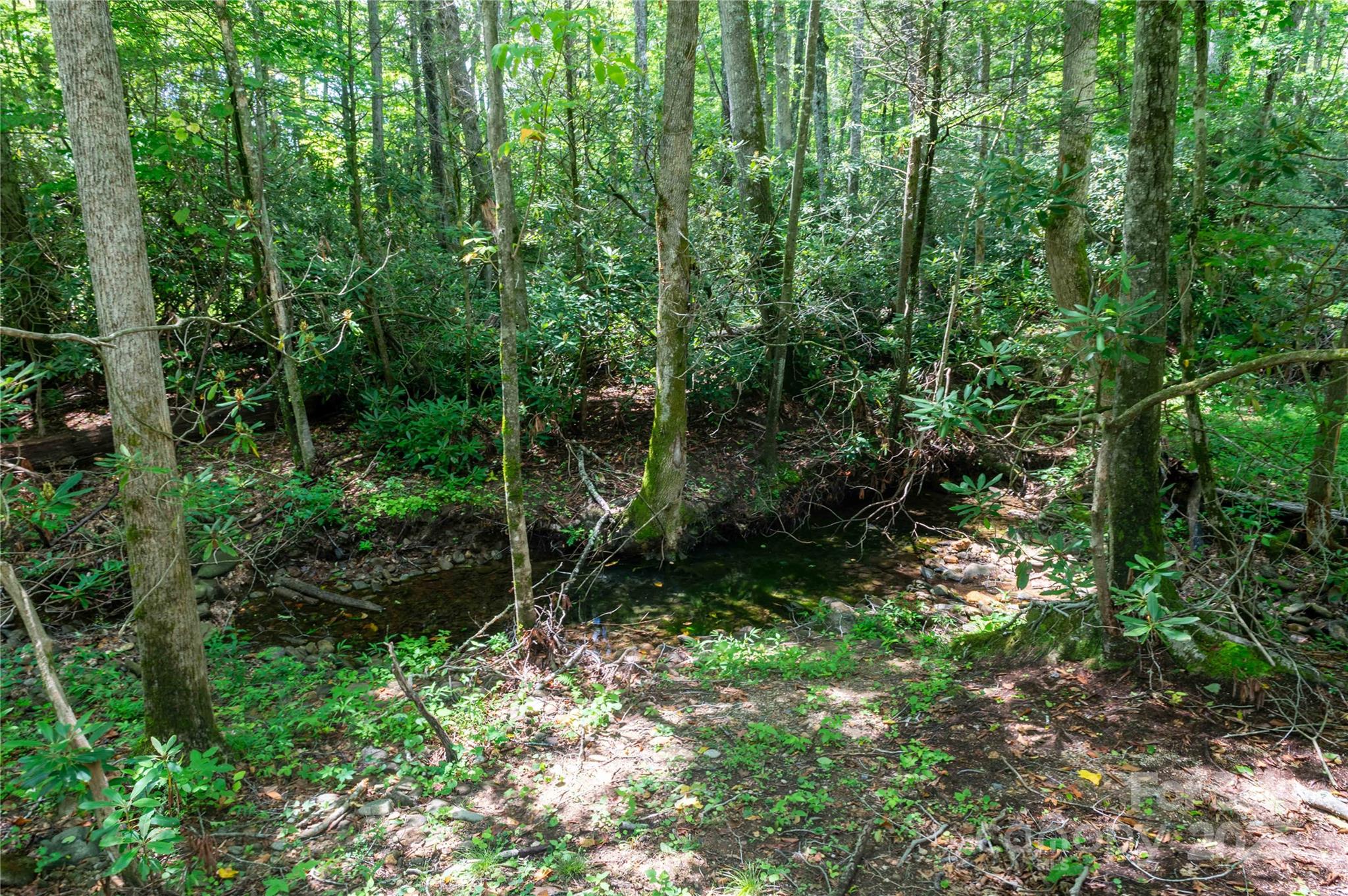 245 White Oak Creek Road Burnsville NC 28714
