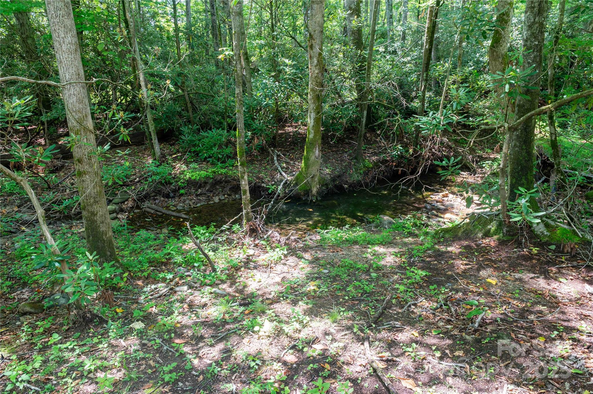 245 White Oak Creek Road Burnsville NC 28714