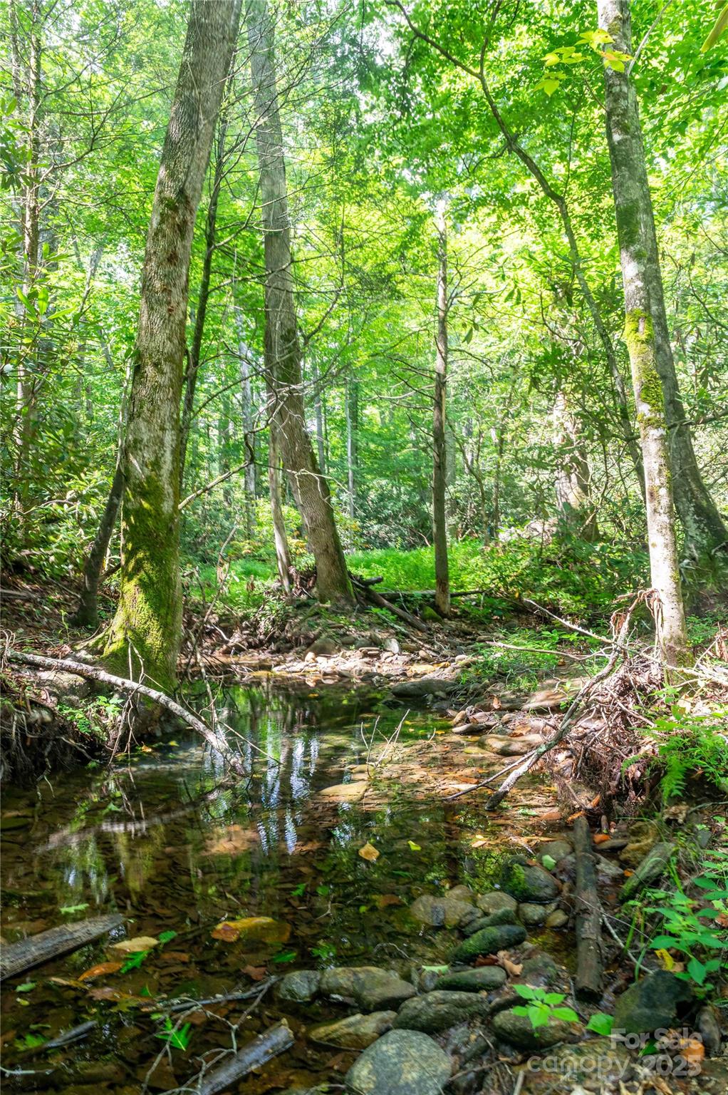 245 White Oak Creek Road Burnsville NC 28714
