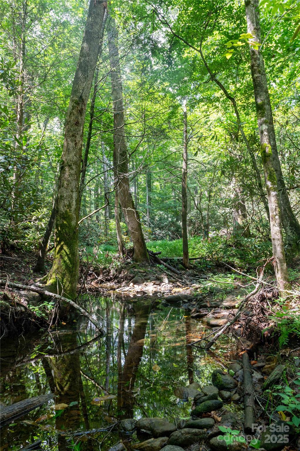 245 White Oak Creek Road Burnsville NC 28714