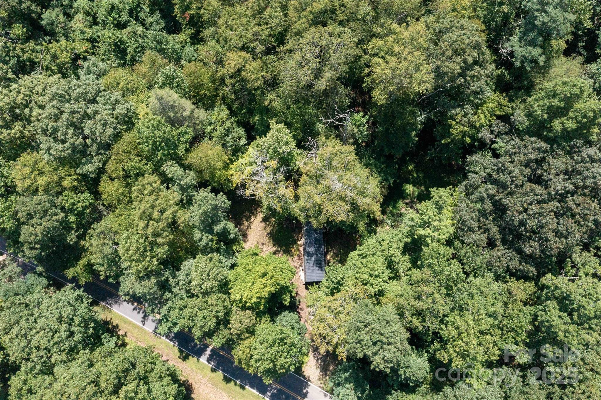 245 White Oak Creek Road Burnsville NC 28714