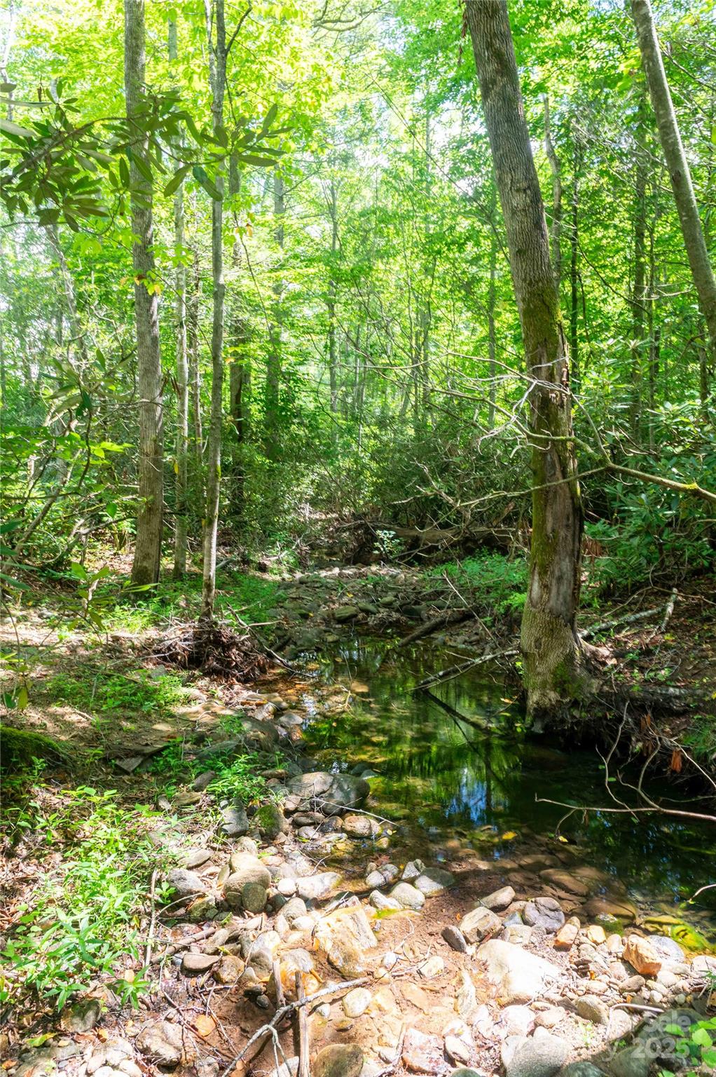245 White Oak Creek Road Burnsville NC 28714
