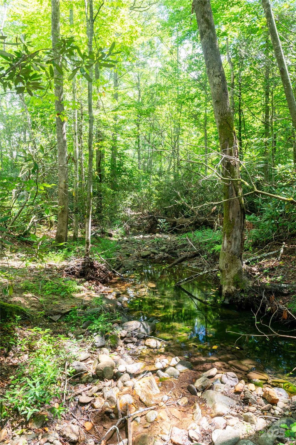 245 White Oak Creek Road Burnsville NC 28714