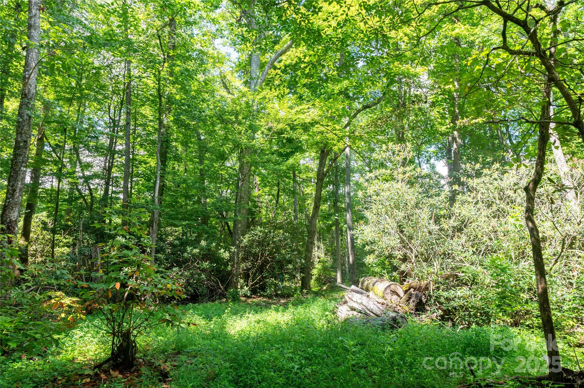 245 White Oak Creek Road Burnsville NC 28714
