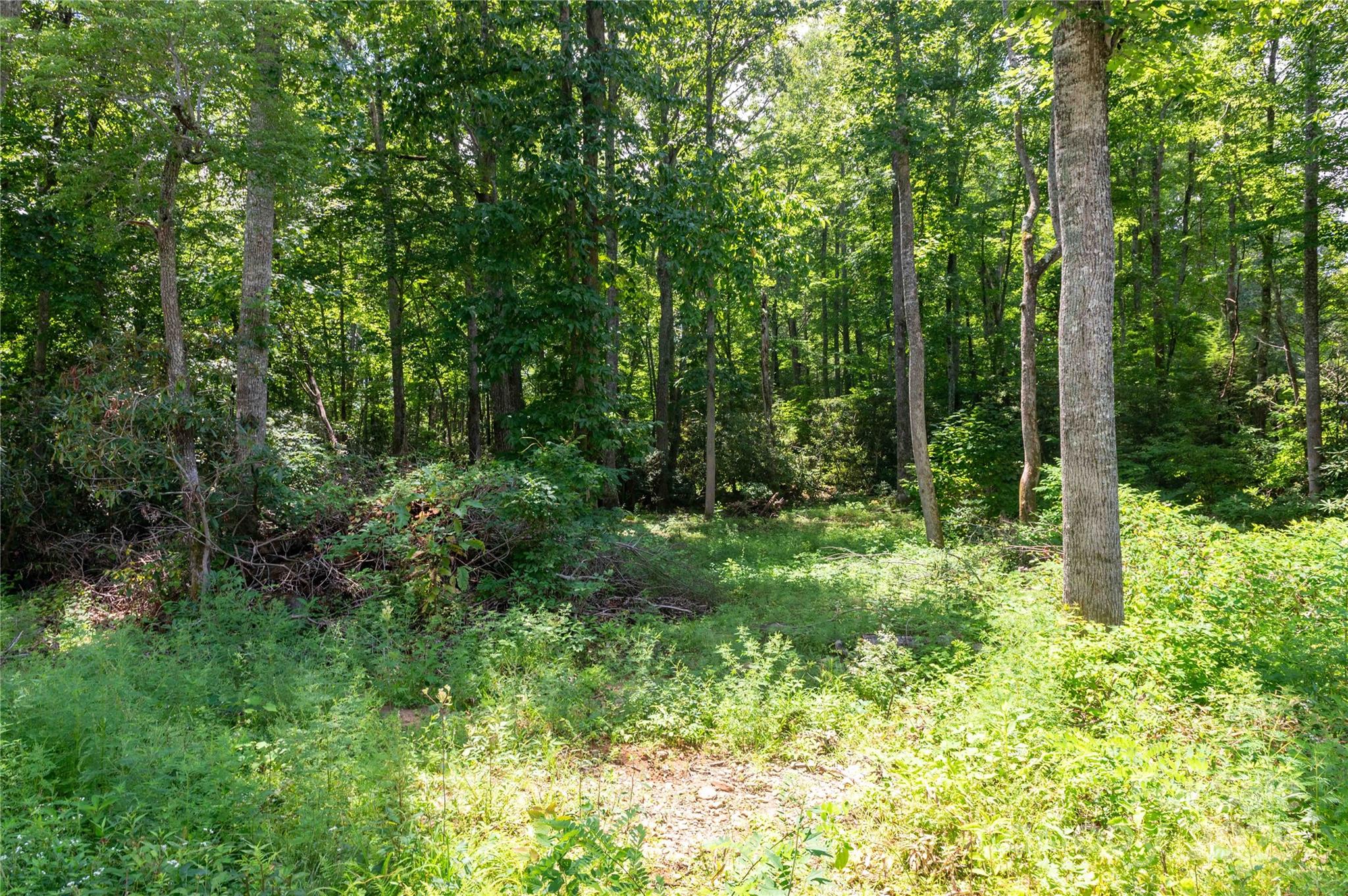 245 White Oak Creek Road Burnsville NC 28714