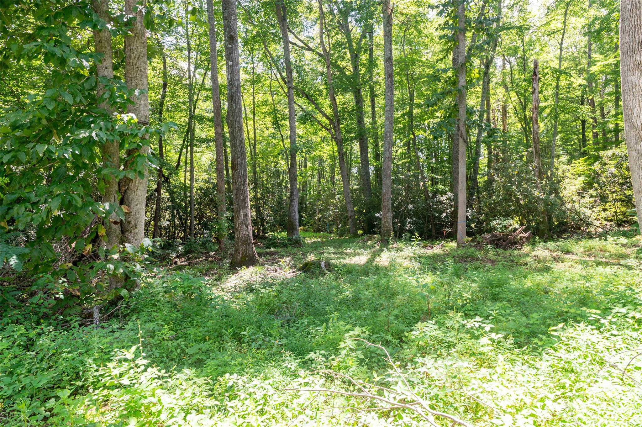 245 White Oak Creek Road Burnsville NC 28714