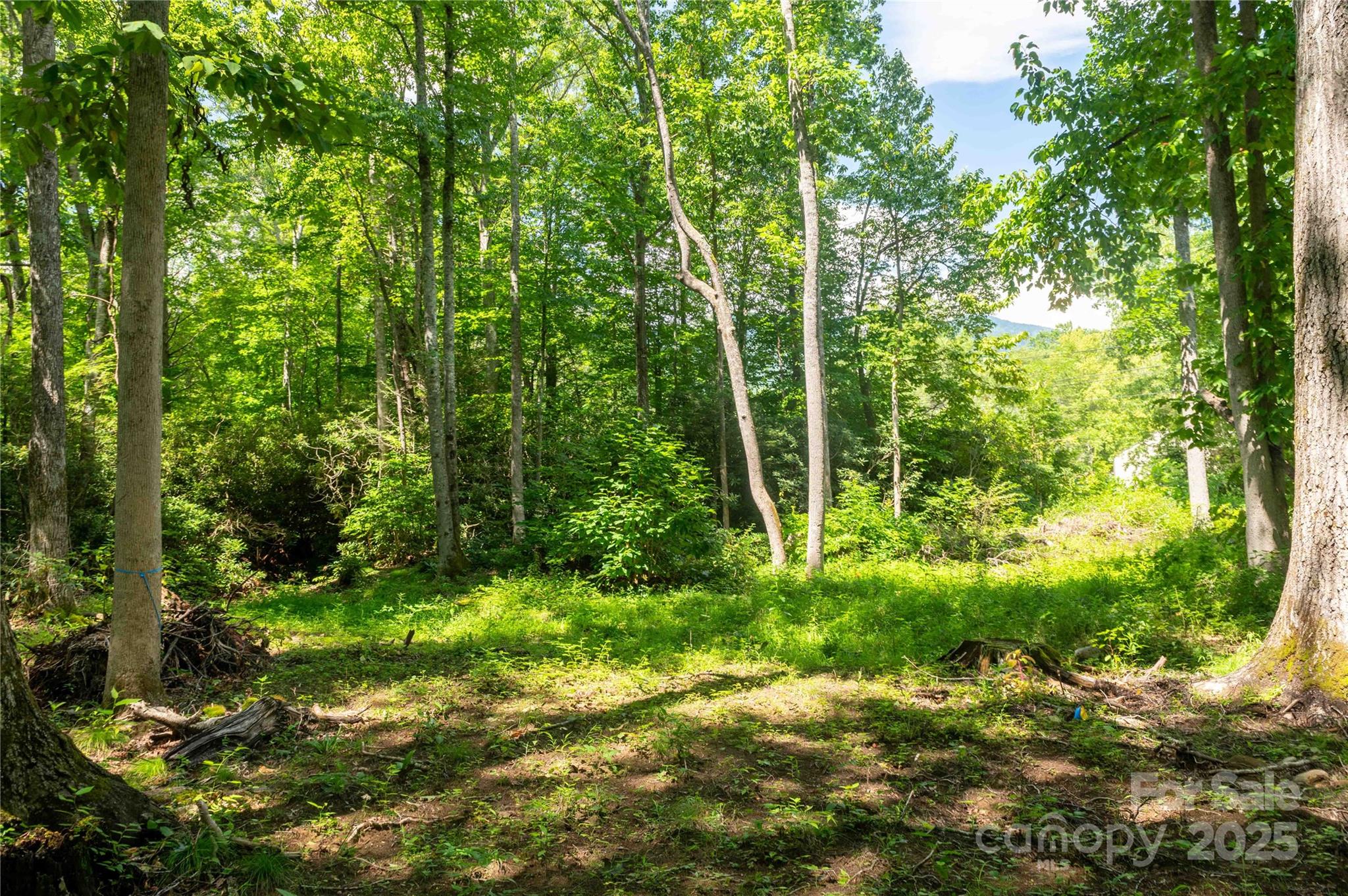 245 White Oak Creek Road Burnsville NC 28714