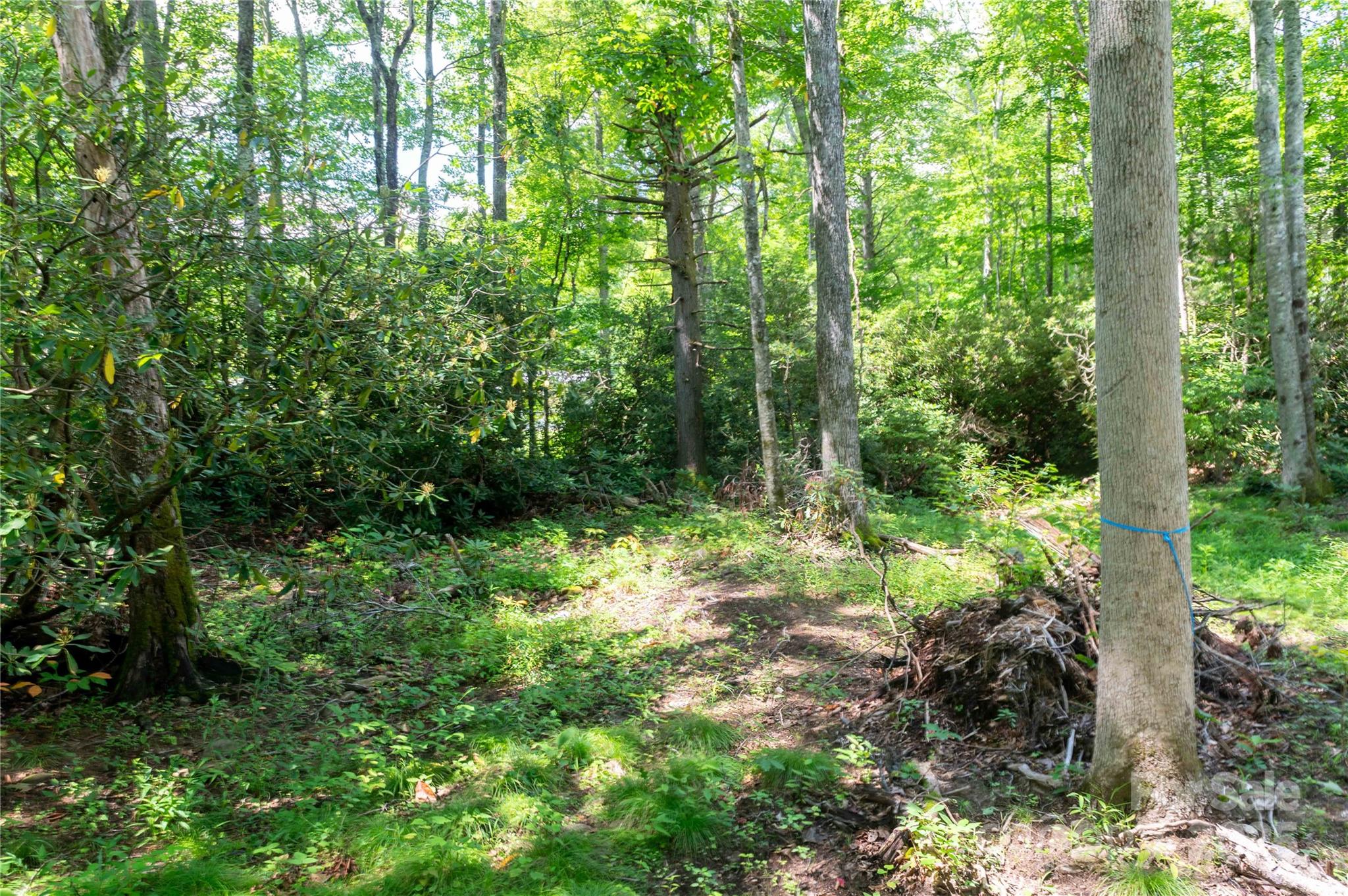 245 White Oak Creek Road Burnsville NC 28714