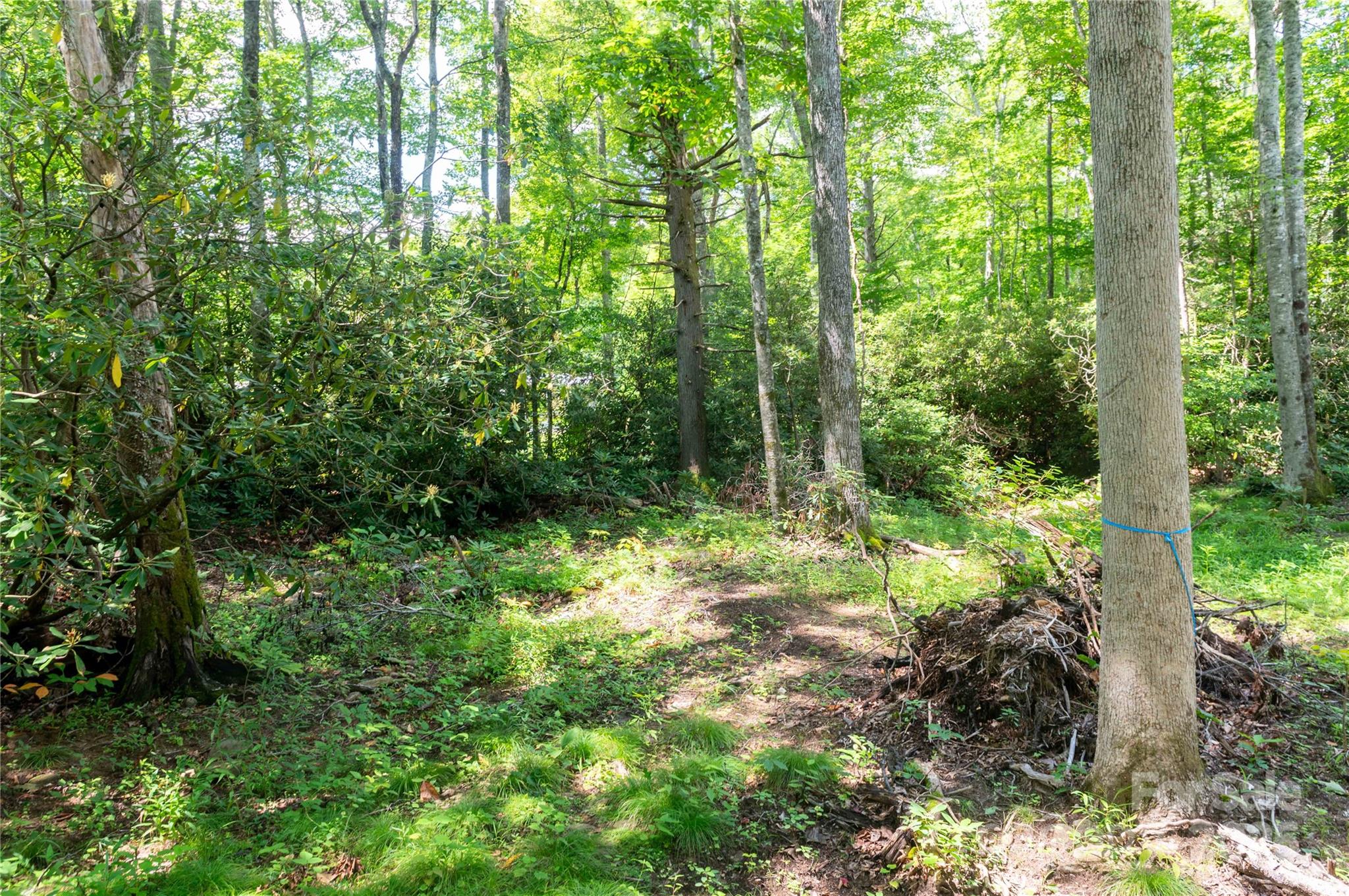 245 White Oak Creek Road Burnsville NC 28714