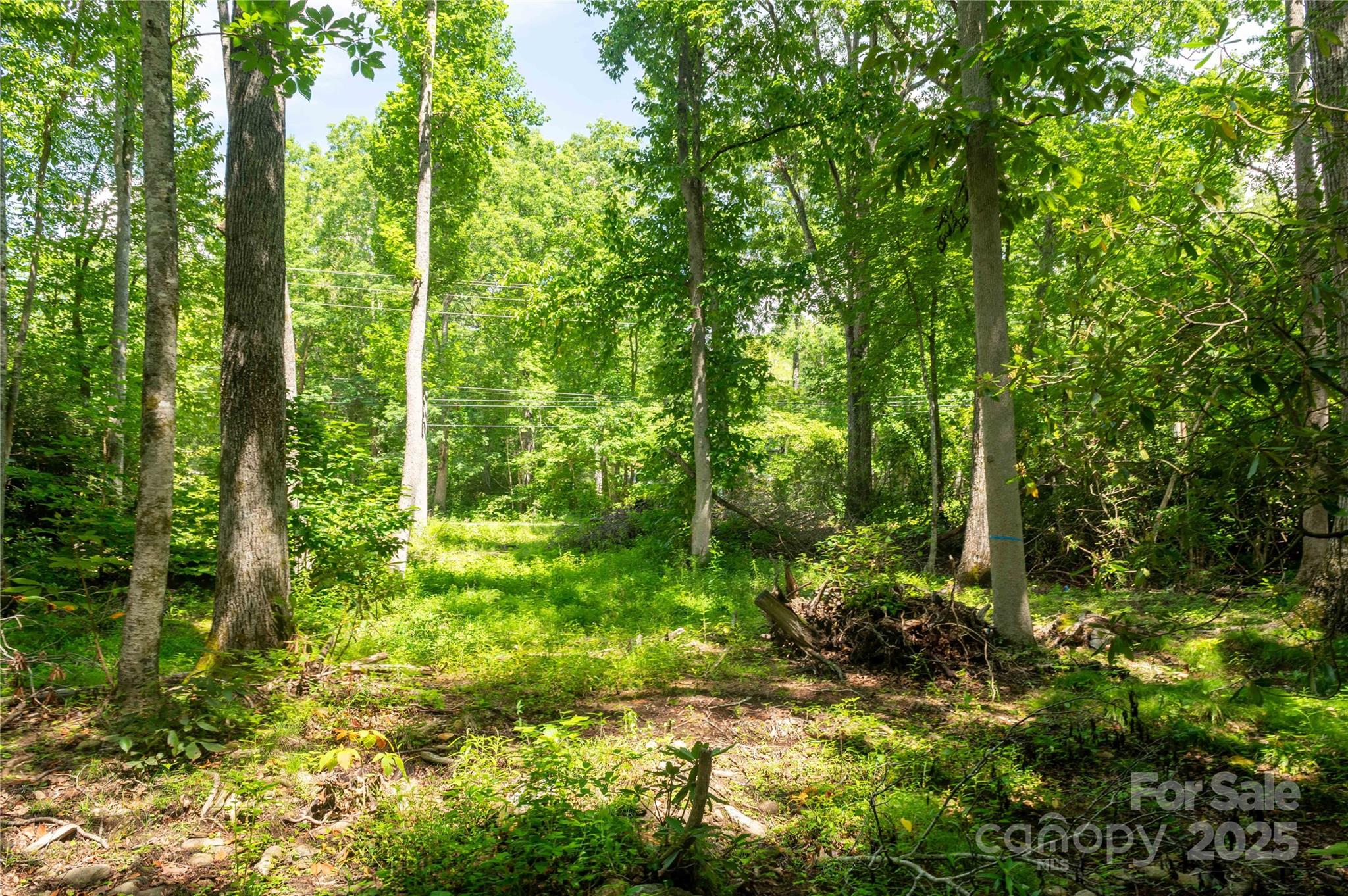 245 White Oak Creek Road Burnsville NC 28714