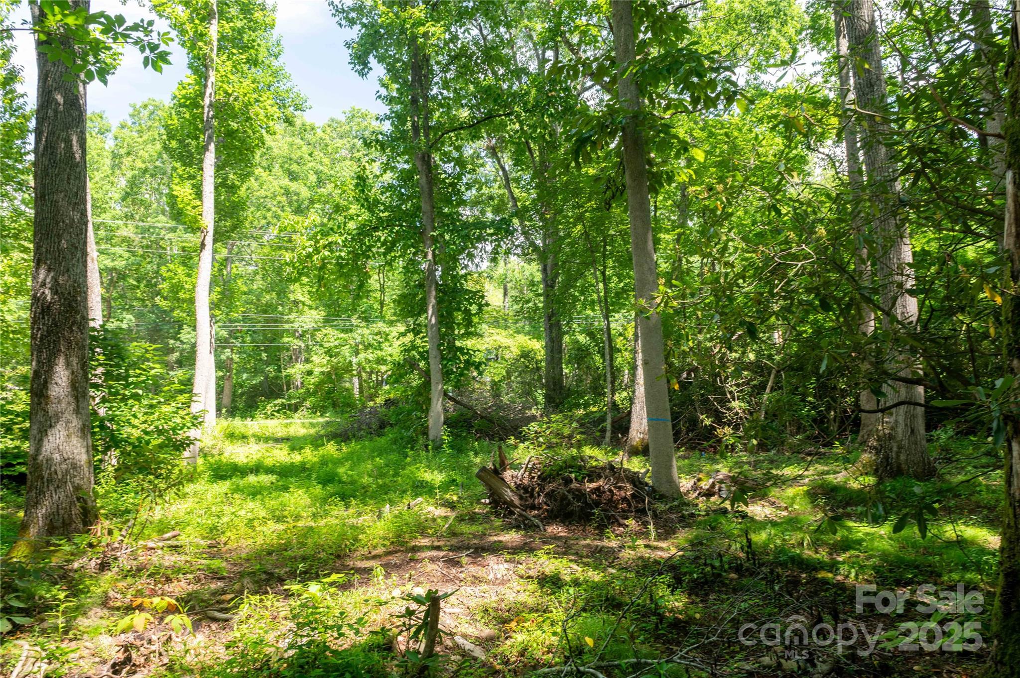 245 White Oak Creek Road Burnsville NC 28714