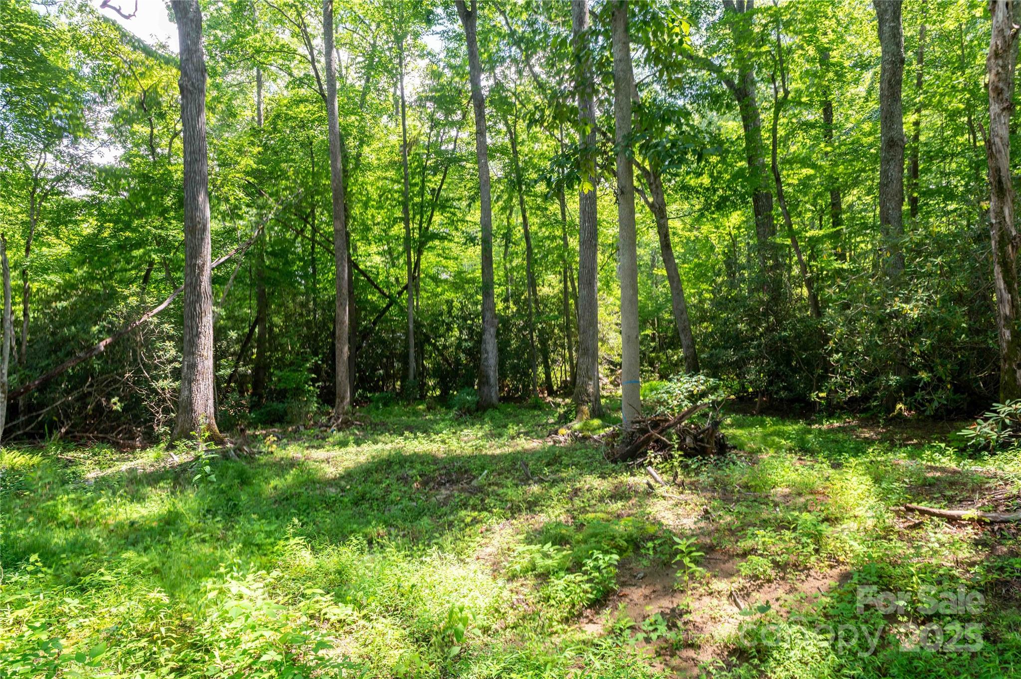 245 White Oak Creek Road Burnsville NC 28714