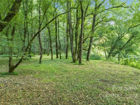 280 Hunter Ridge Drive Marshall NC 28753