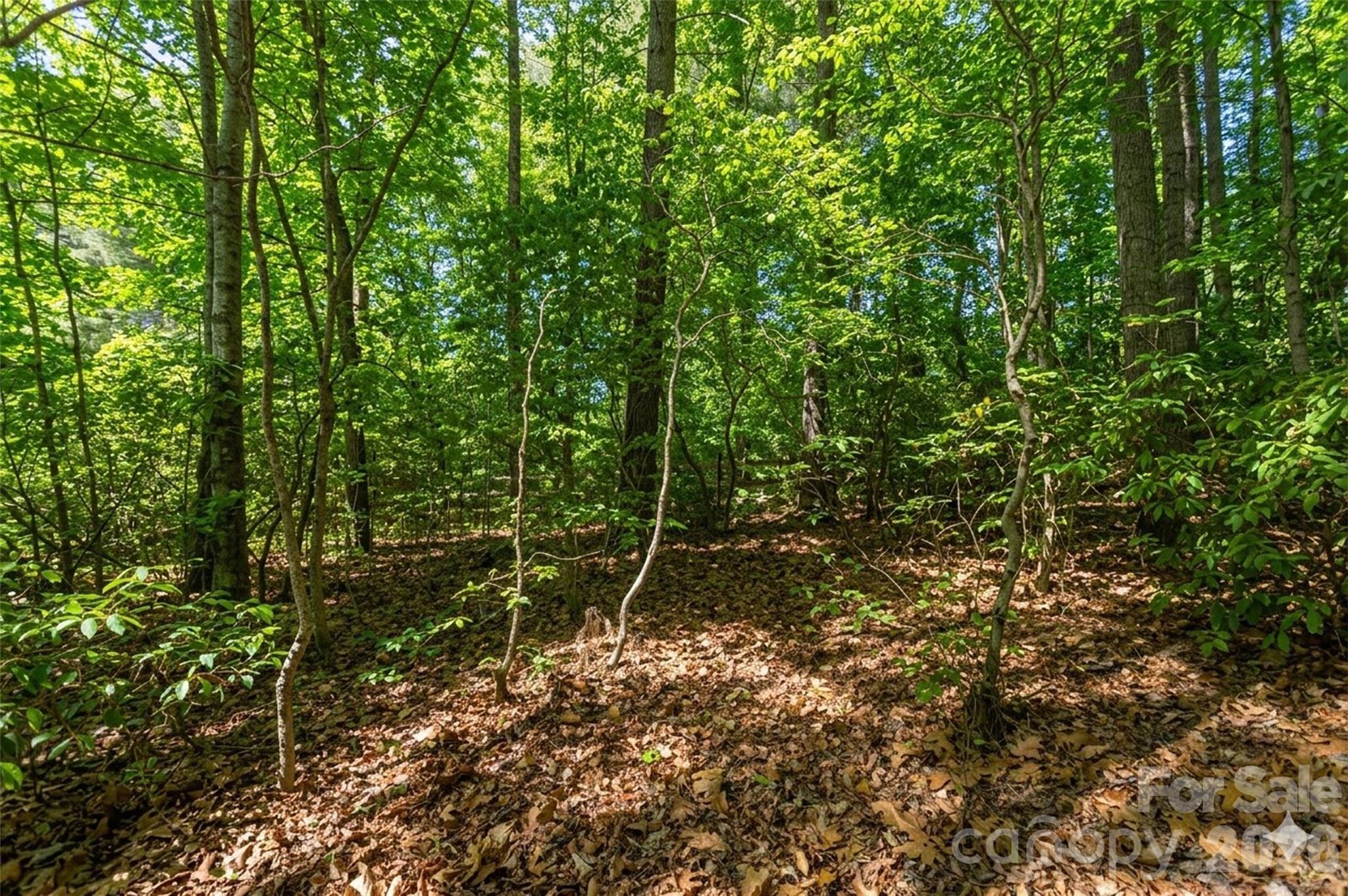 128 Camellia Way Hendersonville NC 28739