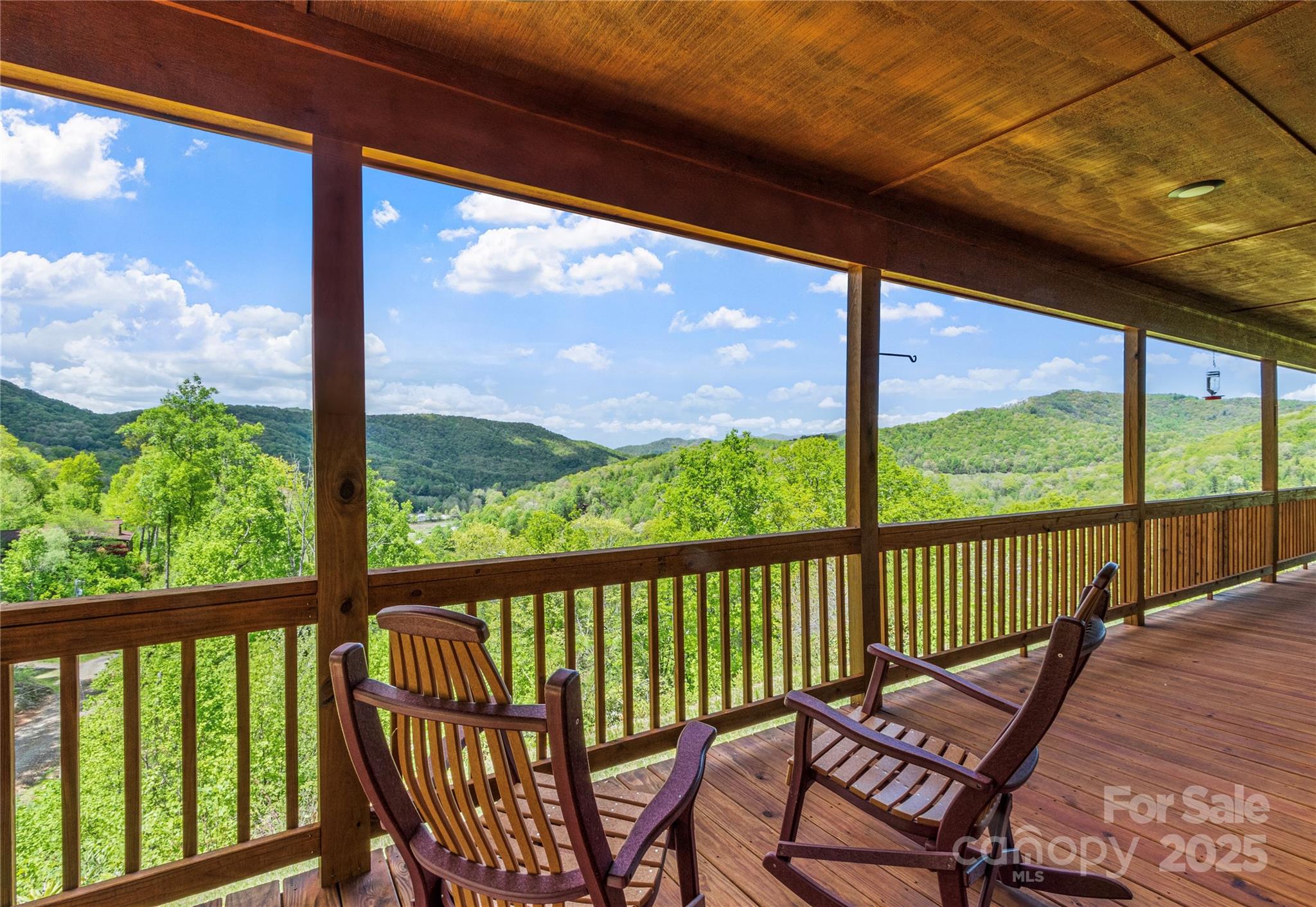 370 Appaloosa Trail Burnsville NC 28714