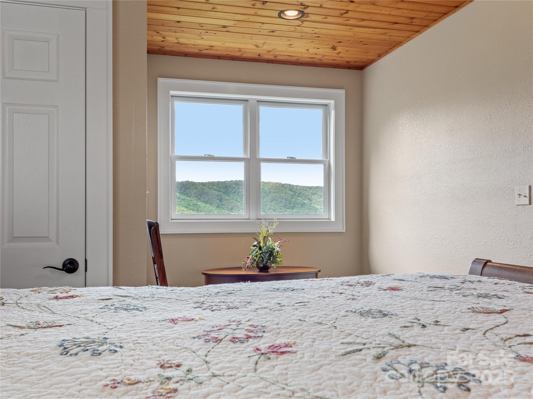 370 Appaloosa Trail Burnsville NC 28714