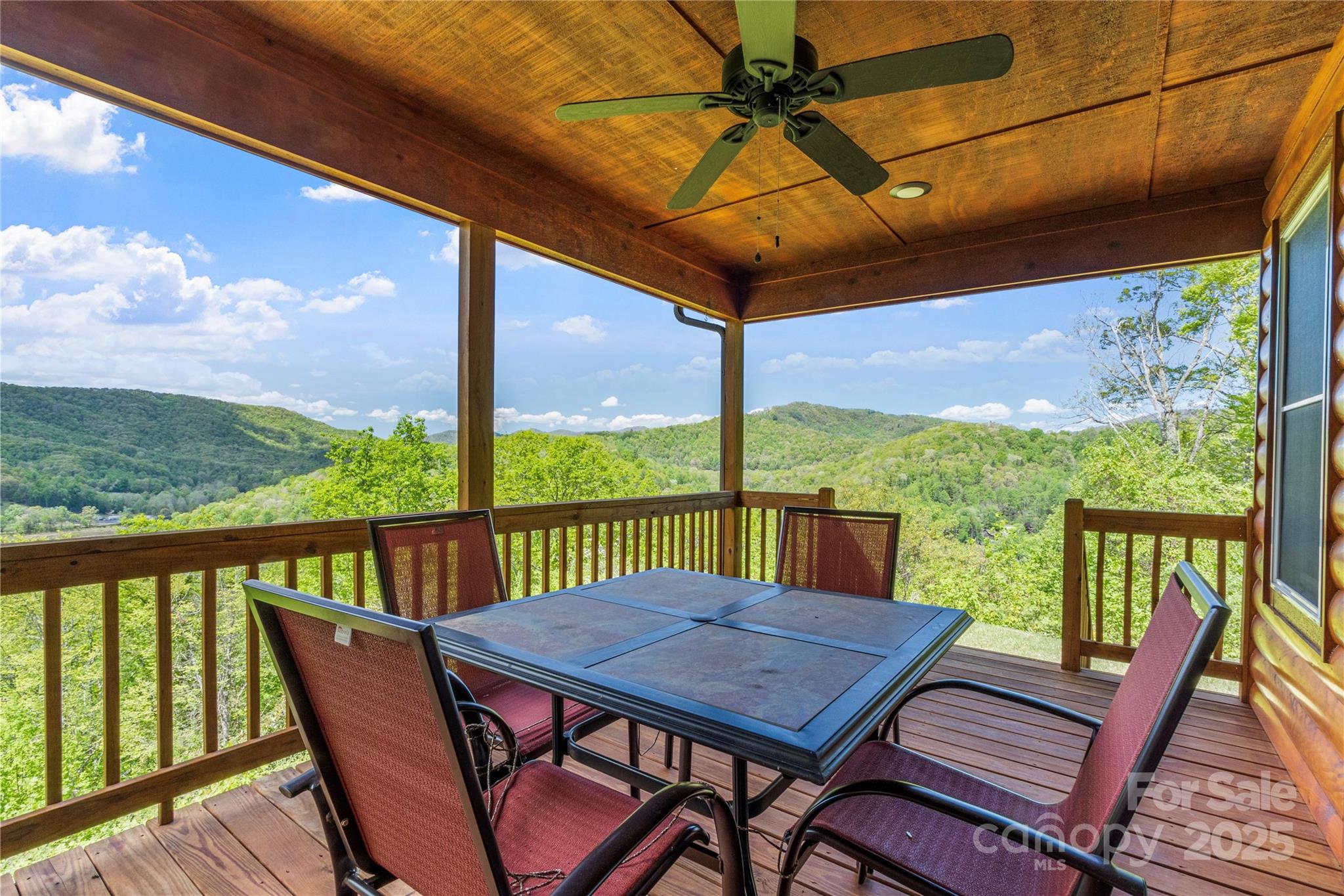 370 Appaloosa Trail Burnsville NC 28714