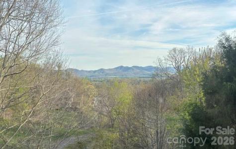 24 Sunnie Rae Lane Candler NC 28715
