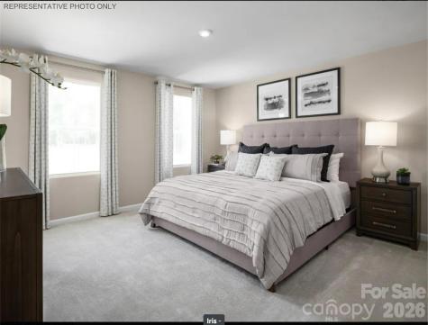 5313 Mccallum Meadows Drive Charlotte NC 28216