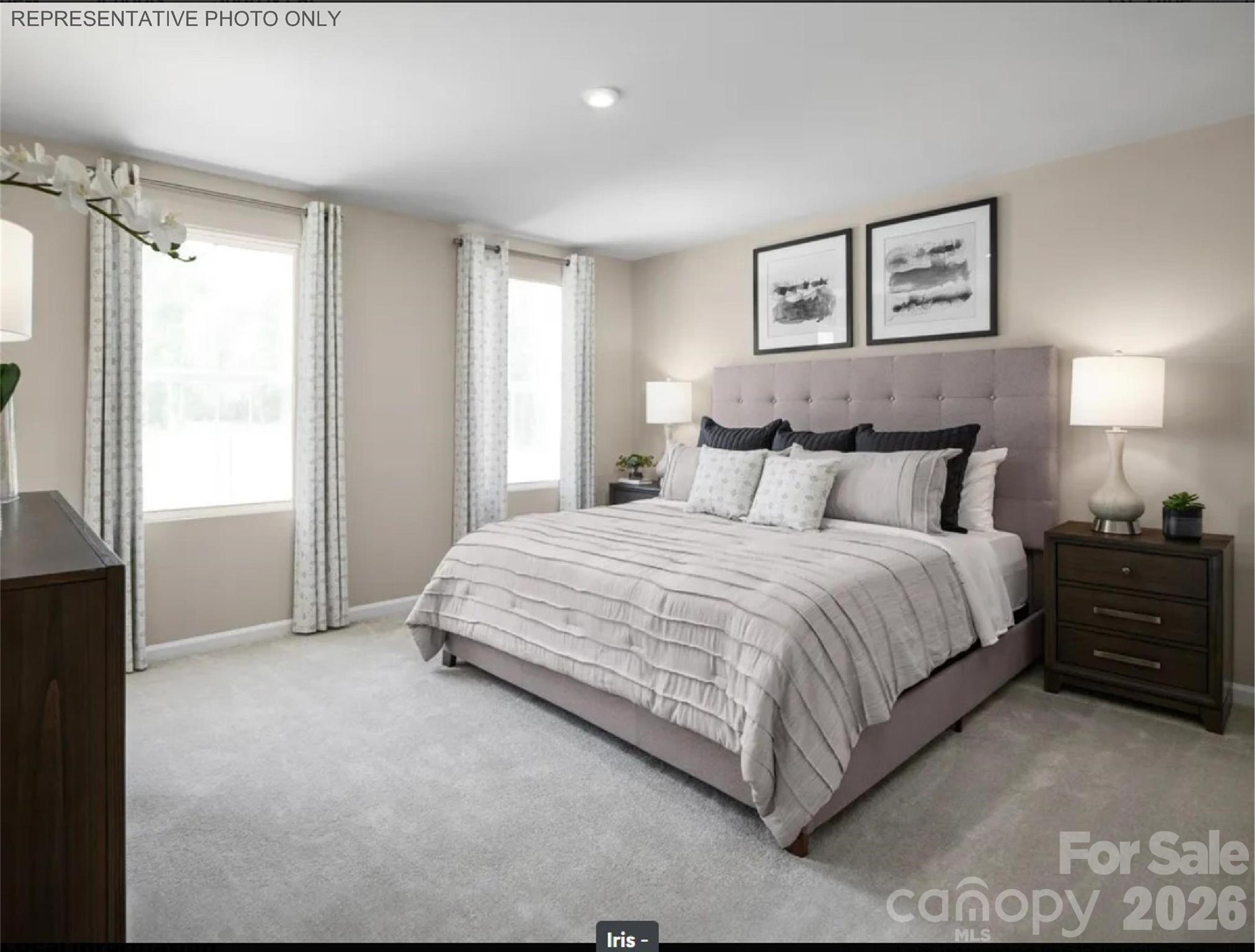 5313 Mccallum Meadows Drive Charlotte NC 28216