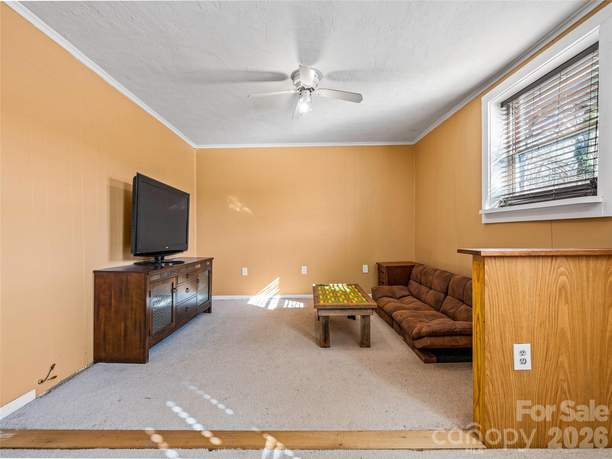 204 Sutton Avenue Black Mountain NC 28711