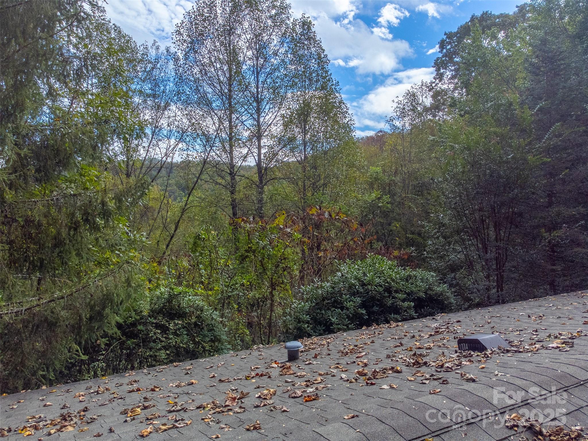 197 Savannah Meadows Trail Sylva NC 28779