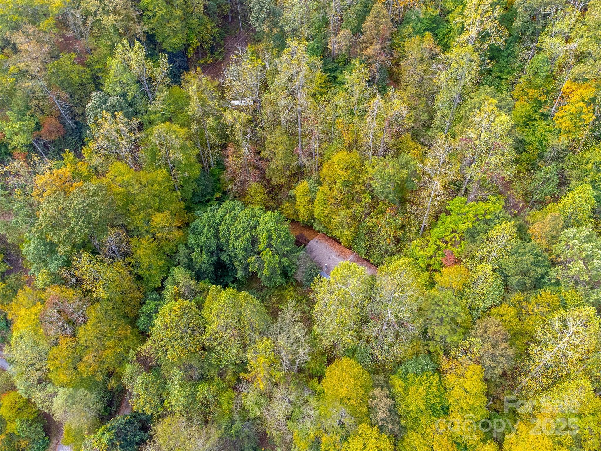 197 Savannah Meadows Trail Sylva NC 28779