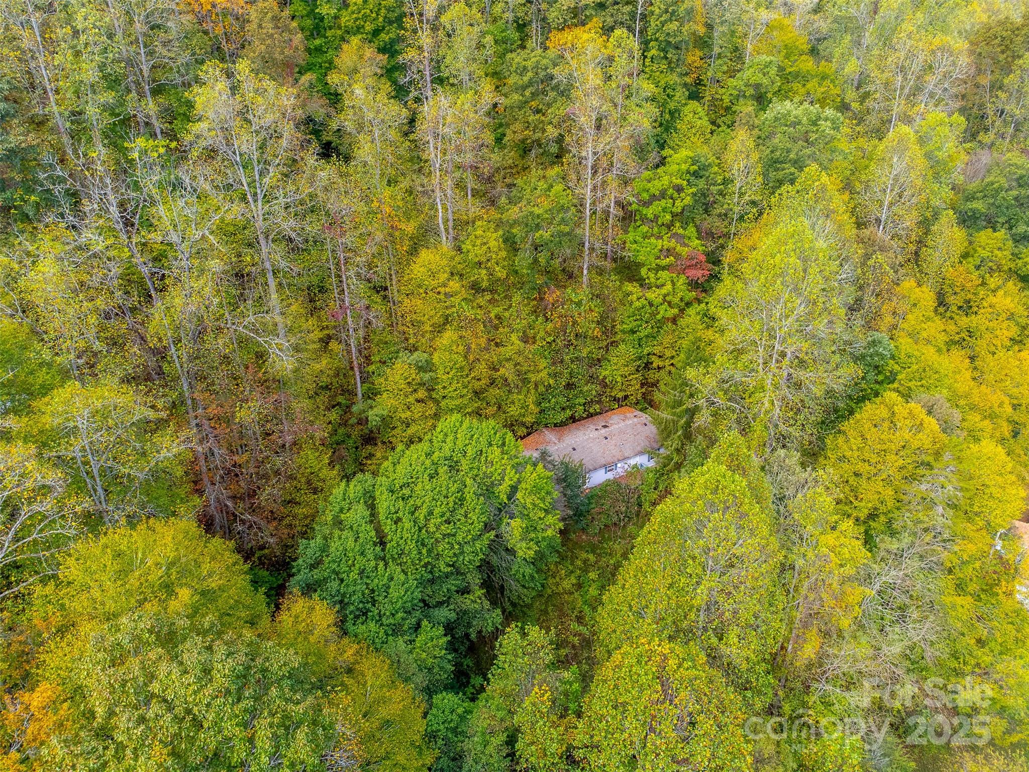 197 Savannah Meadows Trail Sylva NC 28779