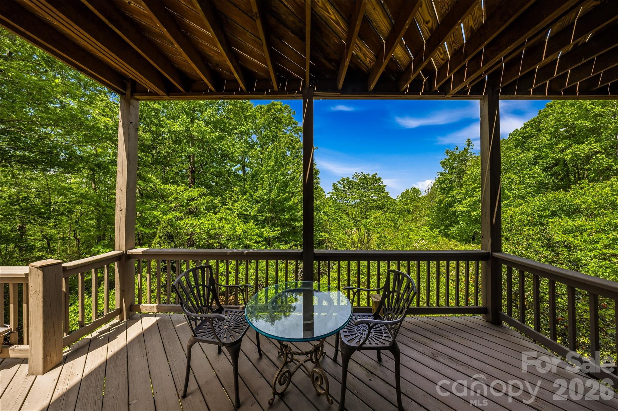 135 Crossvine Trail Hendersonville NC 28739