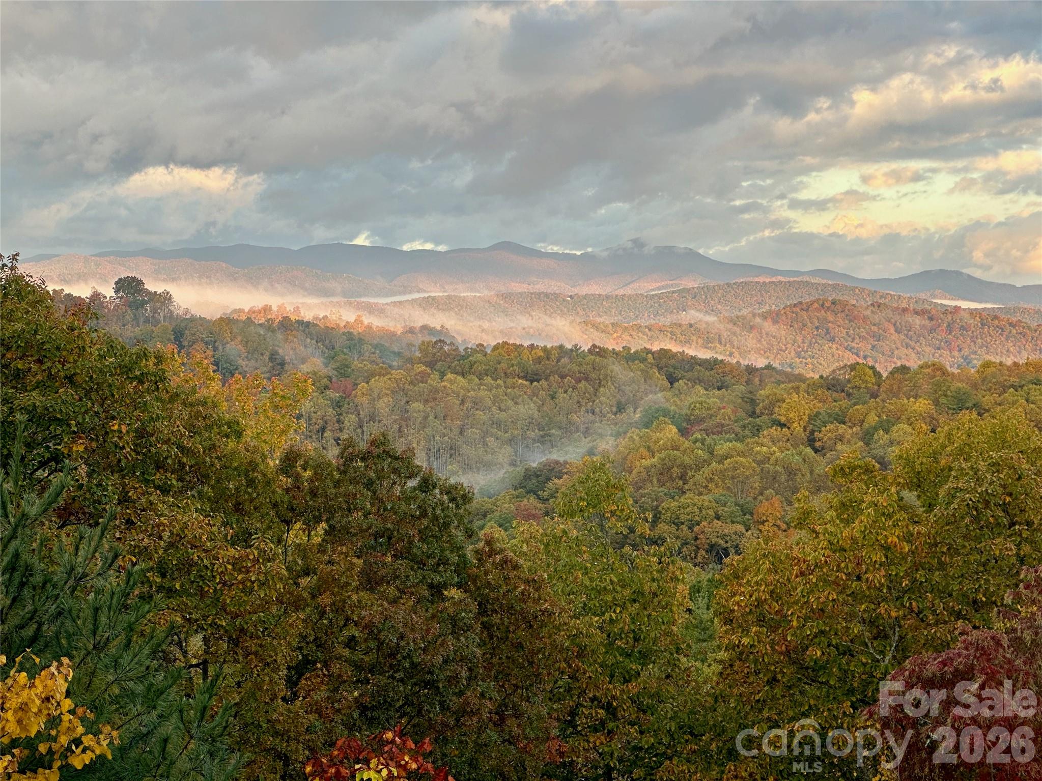 135 Crossvine Trail Hendersonville NC 28739
