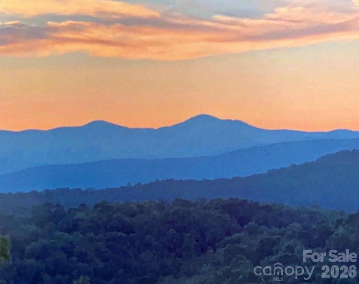 135 Crossvine Trail Hendersonville NC 28739