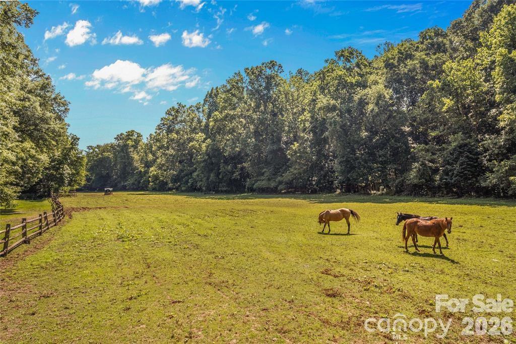 815 French Belk Road Mt Ulla NC 28125