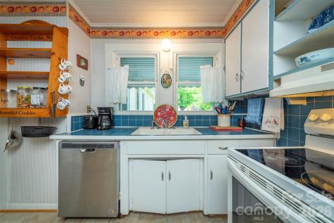 110 Enthoffer Street Black Mountain NC 28711
