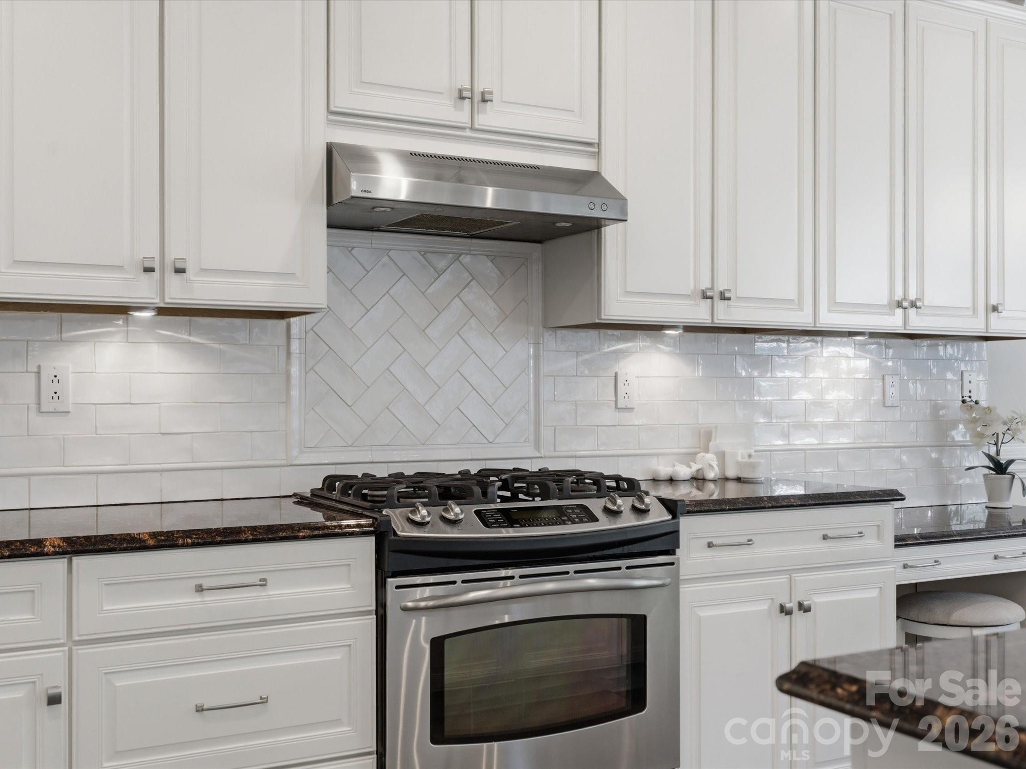 1026 Spanish Moss Road Indian Trail NC 28079