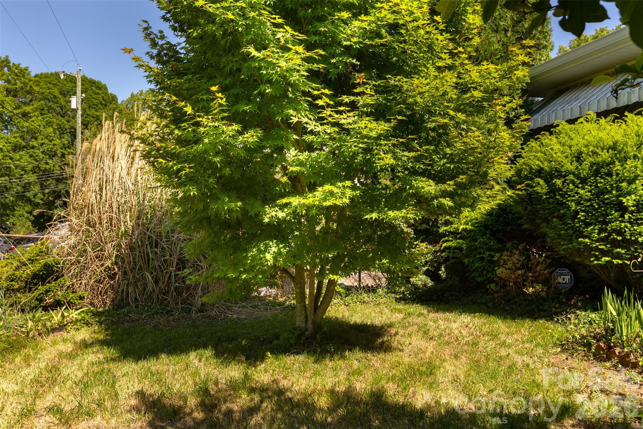 15 Walton Street Asheville NC 28801