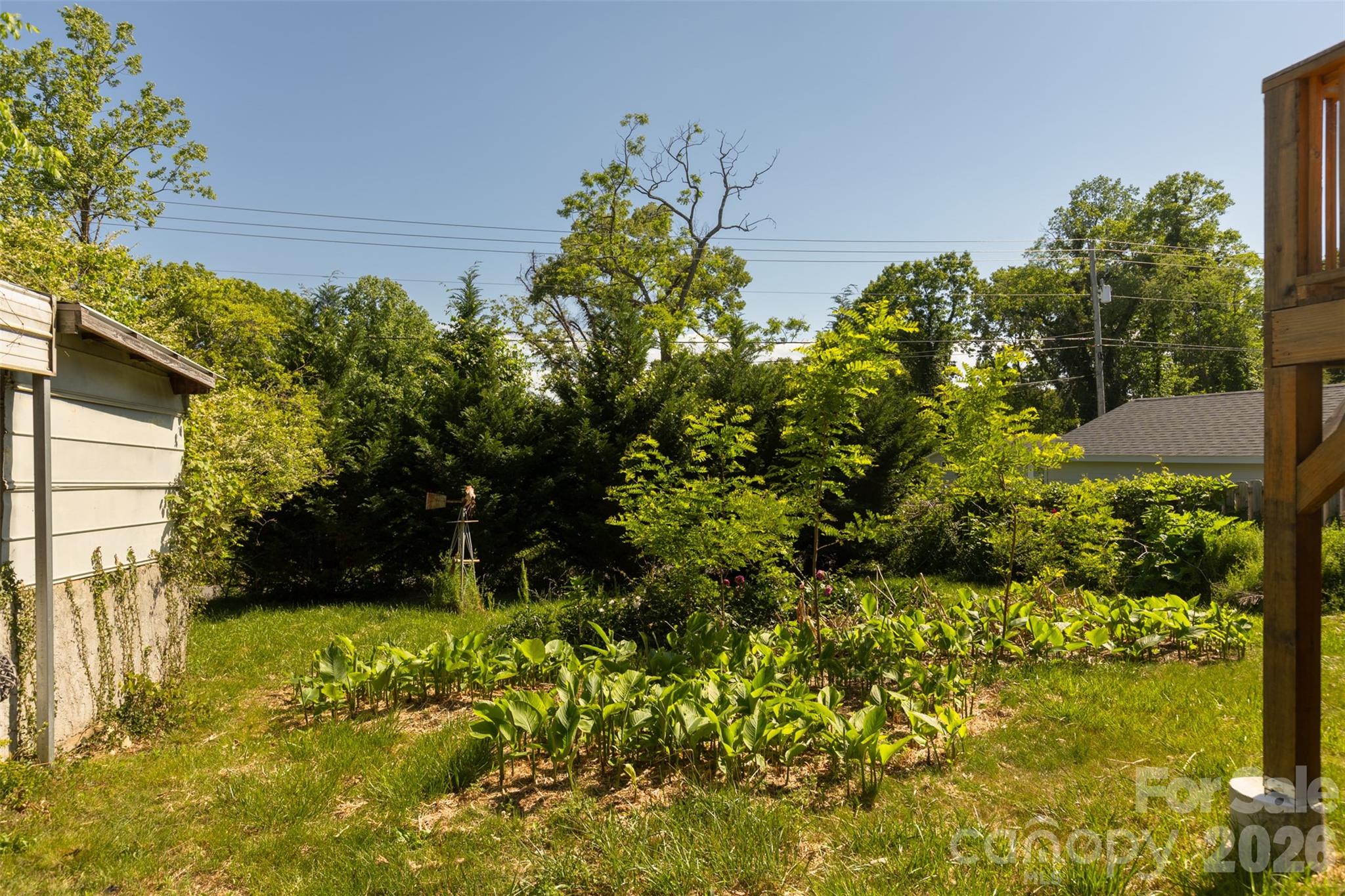 15 Walton Street Asheville NC 28801