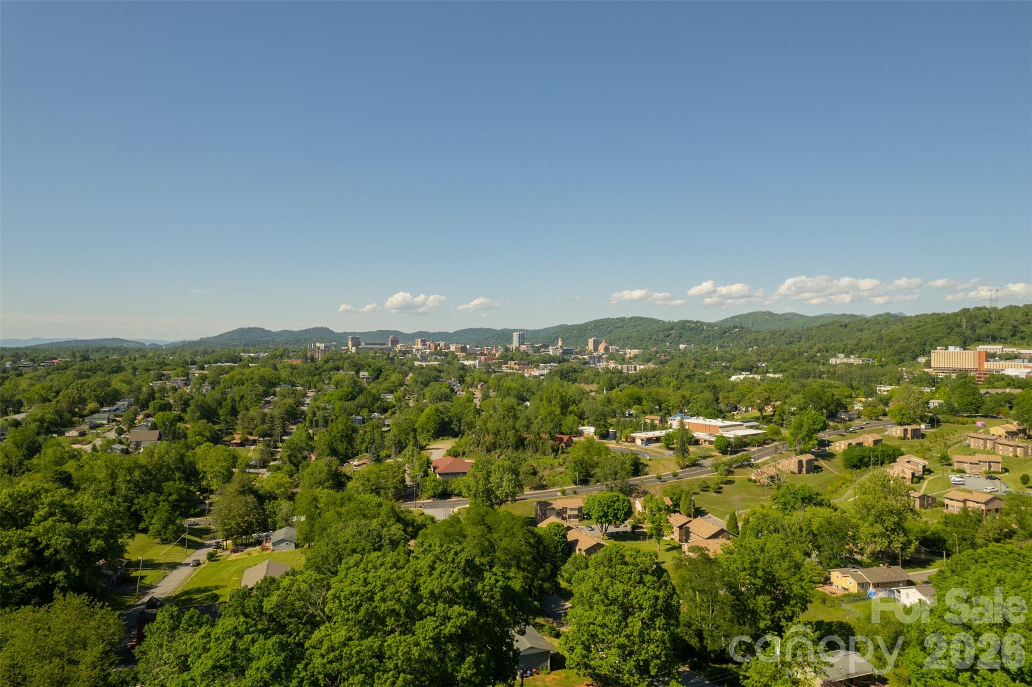 15 Walton Street Asheville NC 28801